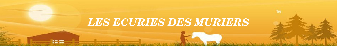 LES ECURIES DES MURIERS